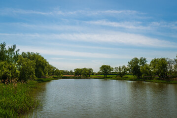Lake in the park
