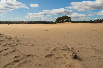 zandverstuiving de haere