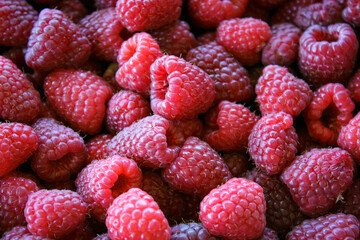 Raspberries. Raspberry background. Ripe raspberries.