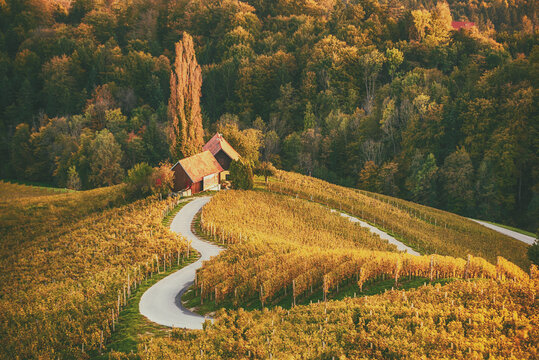 Heart shaped wine road in Slovenia