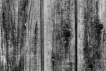 White wood texture background of distressed pine wood with knots