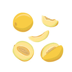 Set of hand drawn vector illustration of yellow melon fruit against white background. Whole, sliced, sliced melon. Design for fabric, paper, menu, cuisine, cafes and restaurants.