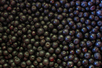 Chokeberry berries. Aronia berries. Chokeberry, aronia background fruit. Fruits. Berry. Freshly picked ripe berries. Aronia melanocarpa or black chokeberry background. Close up. Macro.