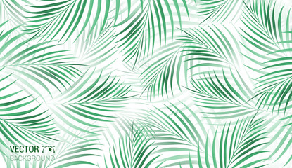 Fototapeta na wymiar Exotic abstract vector green jungle pattern on the white background. Trendy art beach print wallpaper