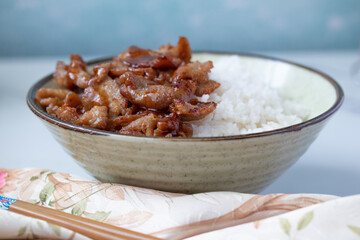 Homemade Japanese Pork Tonkatsu s over Steamed Rice