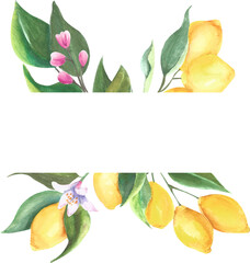 lemon floral border | background with lemon, flowers  and green leaves