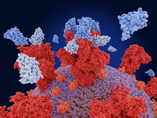 Nanobodies block SARS-CoV-2 infection