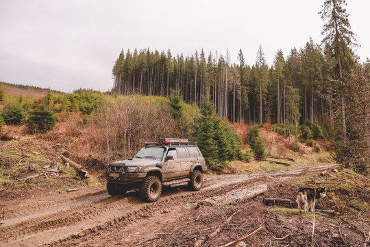 Dirty cars and wheels in the mountains. Swamp on the tires. Trips offroad across Ukraine. View of the Carpathian Mountains.