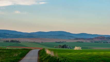 Road cutting through the fields. Radkow, Poland.