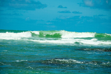 Reef sea waves for surfing