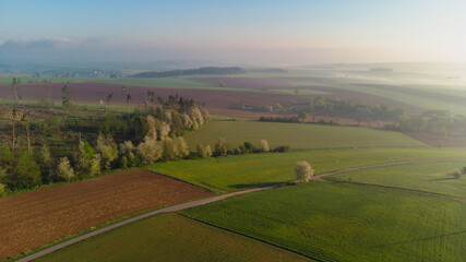 Fototapeta na wymiar Aerial drone view to long paths between huge fields at sunny morning. Radkow, Poland.