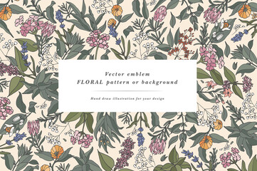 Hand drawn perfumery and cosmetics ingredients banner. Decorative background with vintage aromatic plants, fruits, spices, herbs for perfumery. Organic cosmetics design template. Aromatic plants flyer © oxygen_8