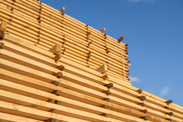 Storage of piles of wooden boards on the sawmill. Boards are stacked in a carpentry shop. Sawing drying and marketing of wood. Pine lumber for furniture production, construction. Lumber Industry.