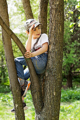 Naklejka na ściany i meble Kid boy sitting on the tree on sunny day. Child sitting on tree branch. Outdoors. Active boy playing in the garden. Lifestyle. Active childhood concept.