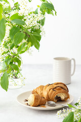 Chocolate croissant close-up on a plate and a mug of coffee, delicious breakfast, branches of blooming bird cherry in a vase