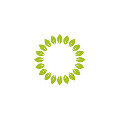 Round wreath with green leaves. Floral fresh text box or label. Summer frame