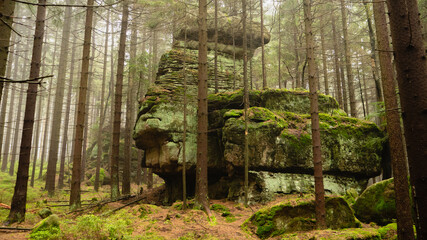 Fototapeta premium Geological rock formation shaped like stone mushroom. Stolowe Mountains National Park, Lower Silesia, Poland