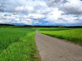 A beautiful Spring scene on a country road in Franconia, Germany.