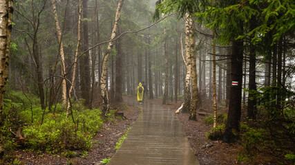 Trail with tourists in Błędne Skały. Table Mountains, Poland. Rain weather. © Kamil