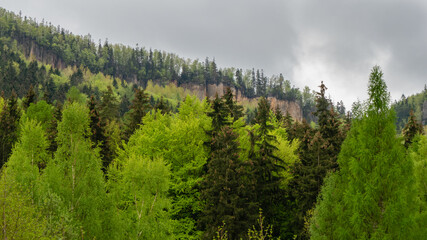 View of the Table Mountains (Radkowskie Skaly). Spring, Radków, Poland.

