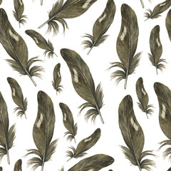 Gray feather in seamless pattern on white background. Watercolor hand drawing illustration. Realistic painting of parrot feather in wallpaper.
