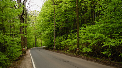 Highway with a hundred bends. Radkow, Poland.