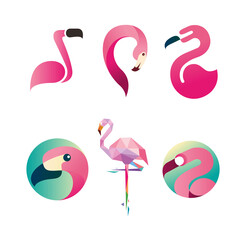 Flamingo Bird logo template design
