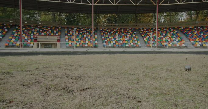 Falling heavy kettlebell sport performance exercise preparation for paralympic games throwing kettlebell ball at stadium outside
