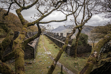 Row of abandoned old miners cottages in slate mine quarry Dinorwic North Wales. Eerie derelict barracks left behind mountain top old mining industry overcast dramatic moody sky clouds creepy forest