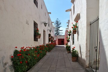 Fototapeta na wymiar Monastero di Santa Catalina, Arequipa 