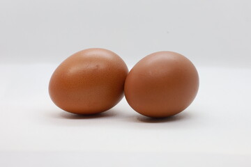 eggs on white for dicut