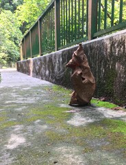 Nature, fallen leaf, leaf looking like an animal,  dry leaf, natural sculpture, 