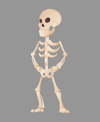 Funny cartoon skeleton posing while standing. Bony character. Human bones illustration skeletal. Dead man on color background