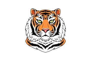 Bengal tiger head with green eyes, isolated tiger face. Predatory wildcat