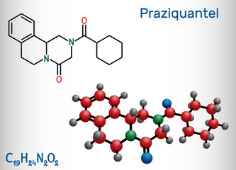 Praziquantel, PZQ, molecule. It is anthelmintic drug for treatment cysticercosis, schistosome, cestode and trematode infestations. Structural chemical formula and molecule model