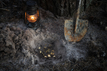 A treasure of golden coins in the ground. Discovery, treasure hunting, digging, metal detection...