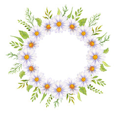 Floral Wreath with daisy and Leaves. Watercolor daisy wreath. White background. Watercolor floral. Botanical Drawing. Chamomile Watercolor.