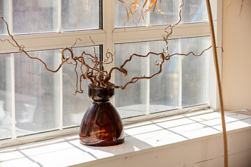 Dry branch in a vase at the window