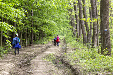 Obraz premium eine familie mit zwei kindrn wandert im wald
