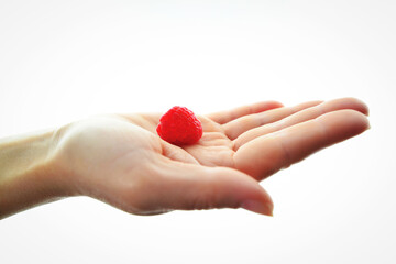 Raspberry in a hand, closeup view. Hand picking up a raspberry isolated. Healthy eating, dieting, vegetarian food and people concept - close up of woman hands holding raspberries at home. 