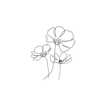 recommend clip art: Three flowers in continuous one line drawing. Vector illustration. Modern minimalist art.