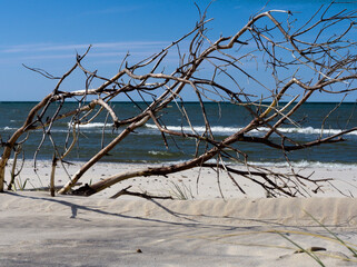 Brzeg i plaża Morza Bałtyckiego - obrazy, fototapety, plakaty