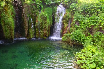 Obraz premium Croatia nature - Plitvice National Park