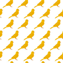yellow canary summer seamless pattern with a songbird canary depicted on it. Summer print. Vector illustration on white background.