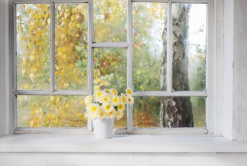 chrysanthemums in  vase on  windowsill in autumn