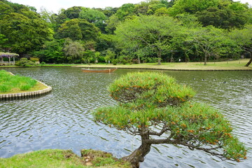 Japanese garden - 日本庭園 池に浮かぶボート 松の木