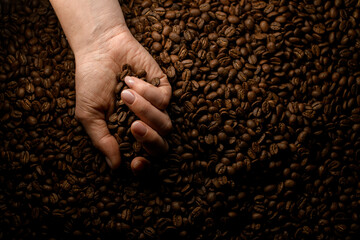 view of female hand holding roasted coffee beans against background of other coffee beans.