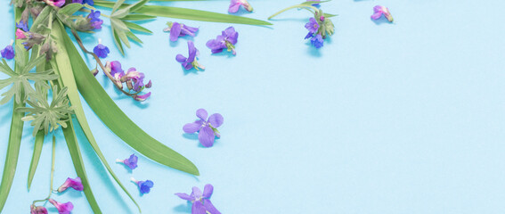 Obraz na płótnie Canvas spring wild flowers on blue paper background