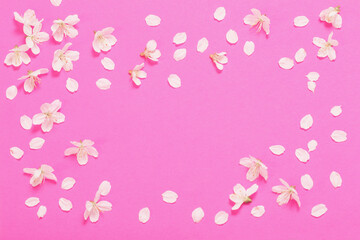 Obraz na płótnie Canvas spring flowers on pink paper background