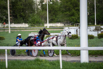 beautiful horses on the race at the opening of the season at the racetrack on a sunny day 